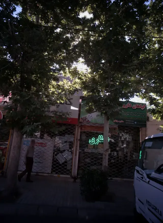 گیاهان دارویی کیمیا