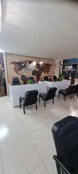 پخش محصولات آسیا لنت
