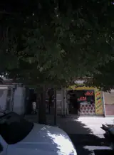 کالای خواب حمیدی