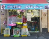 پرنده فروشی رشت کاکاتیل