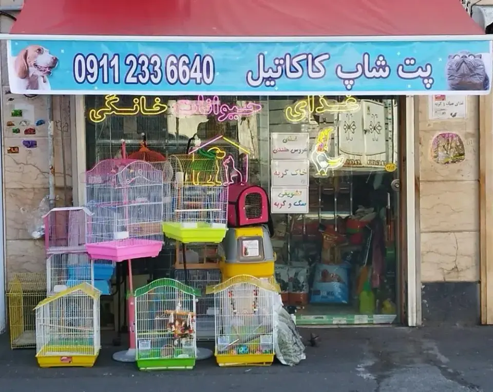 پرنده فروشی رشت کاکاتیل