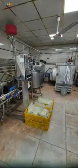 لبنیات احد هداوند