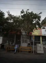 گالری روشنایی و لوستر روشنا