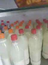 لبنیات سنتی خاماتو همدان