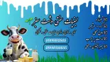 لبنیات سنتی دشت سبز