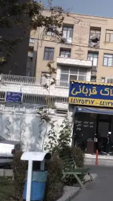 پگاه قربانی