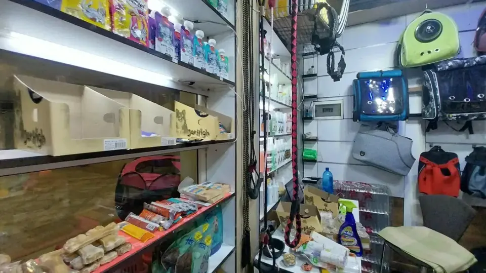 پت شاپ جام جم شعبه آنیک پت