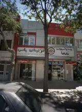 ترئینات یاس