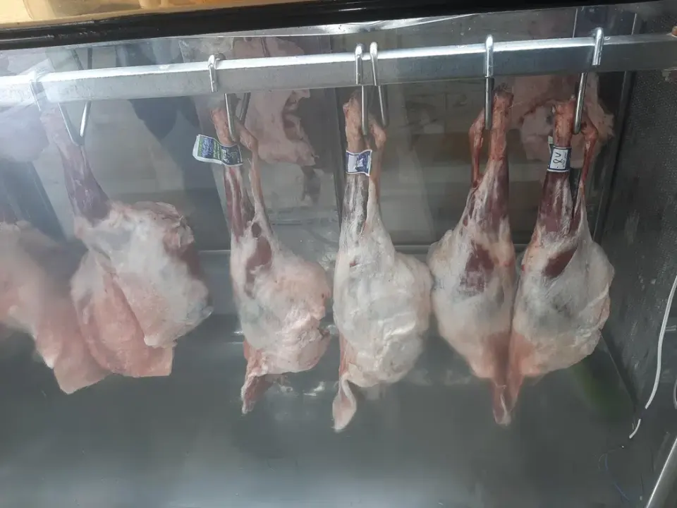 فروشگاه مرغ و گوشت پالوج