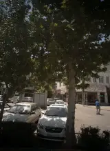 عینک بزرگان