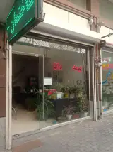 نمایندگی بیمه دانا کد 10497 سهند (جعفری)