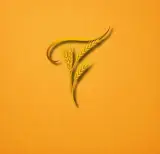 نان وشیرینی ترش
