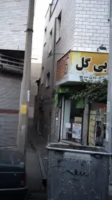 بی بی گل