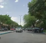 لبنیات چنگانی