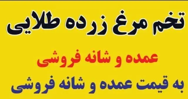 فروشگاه مرغ زرده طلایی