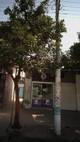 موبایل چلسی