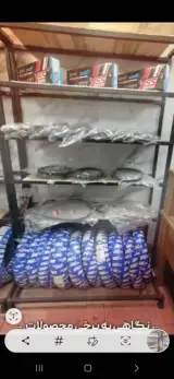 قطعات موتورسیکلیت فیدارکلیک