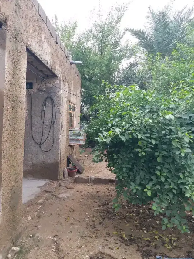 اقامتگاه بومگردی باپیر