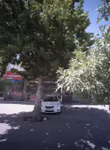 ایزوگام امین