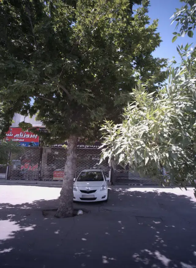 ایزوگام امین
