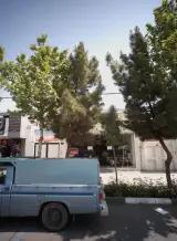تنگستان کیش