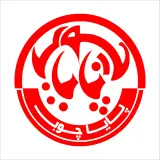 پایا چوب نظری
