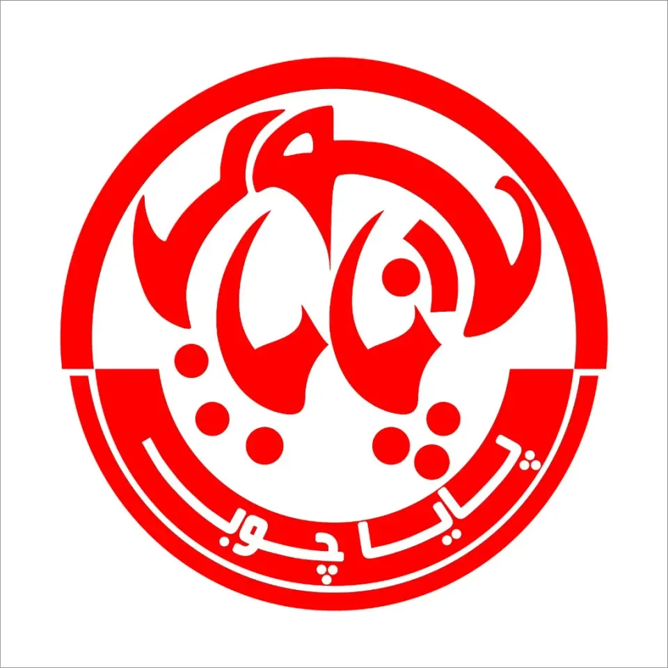 پایا چوب نظری
