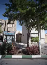 لبنیات دهکده سید