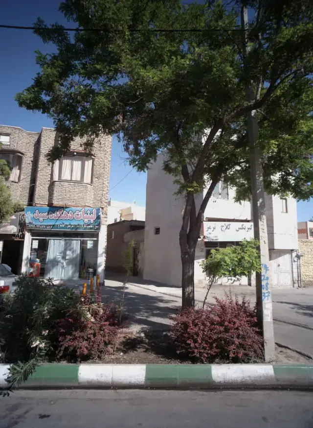 لبنیات دهکده سید