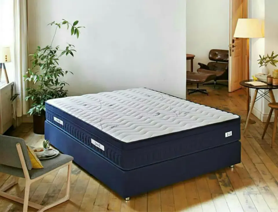 یاتاک ترکیه