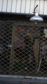 پوشاک پناهنده