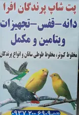 پت شاپ پرندگان افرا