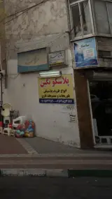 پلاسکو نگین