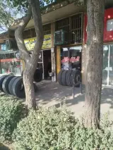 لاستیک و خدمات تیوبلس امینی