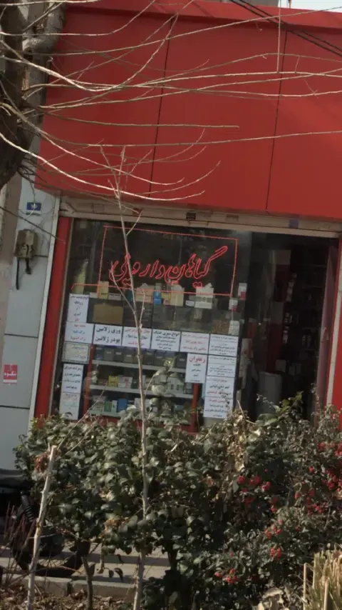 گیاهان دارویی