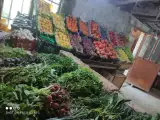 باغ سبزی فروشی علی