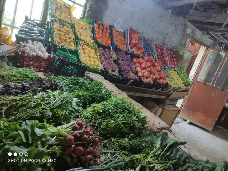 باغ سبزی فروشی علی