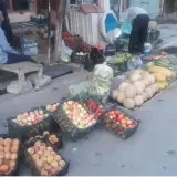 میوه فروشی دانشمند