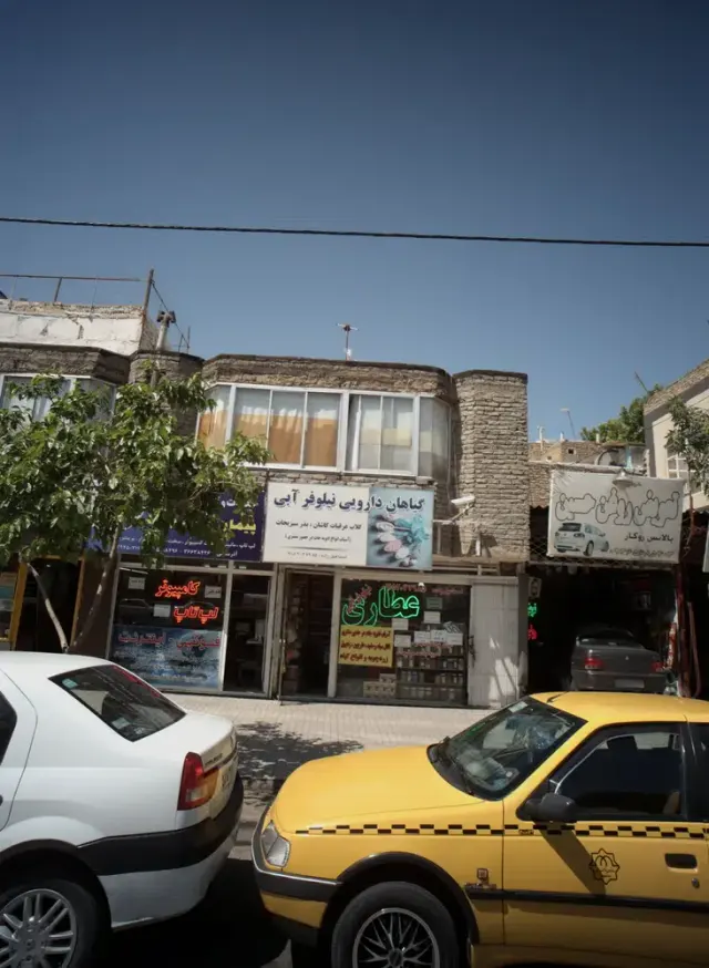 گیاهان دارویی نیلوفر آبی