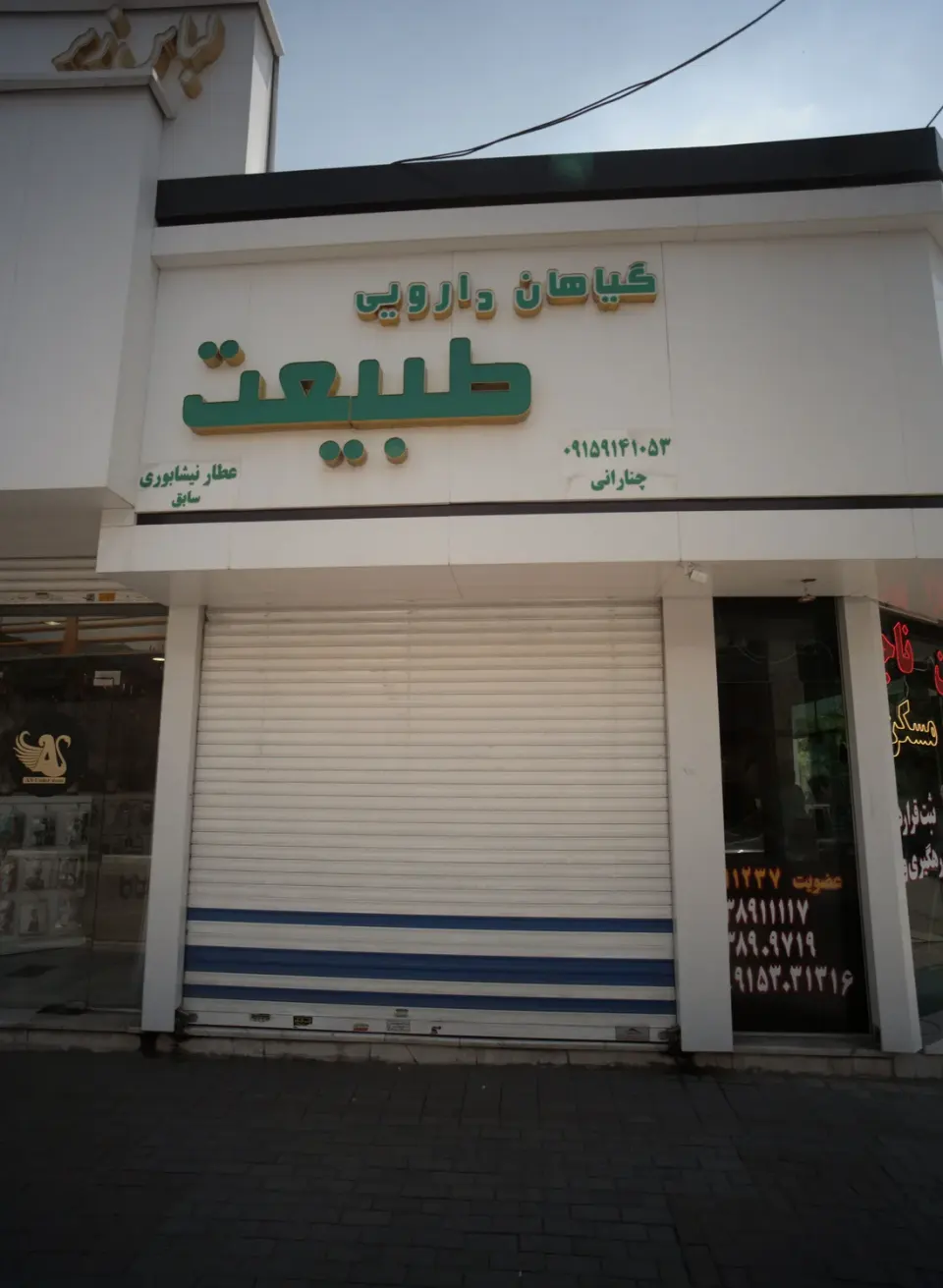 گیاهان دارویی طبیعت
