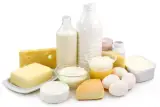 لبنیات سنتی مشکول