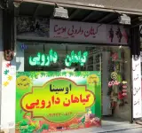 گیاهان داروئی اوسینا