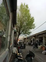سمساری سجاد