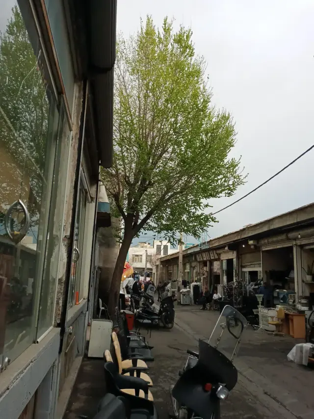 سمساری سجاد