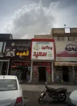پروتئین سعید