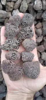 پوکه معدنی سیاه دانه