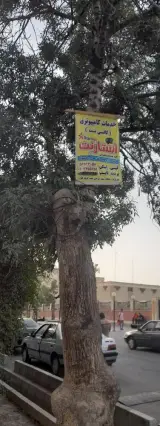 خدمات کامپیوتری استارنت
