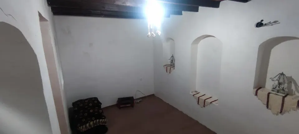 بومگردی کلوت شتر
