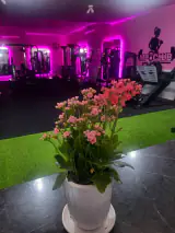 باشگاه بدنسازی mp club