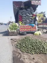 بار فروشی و میوه فروشی. درویش